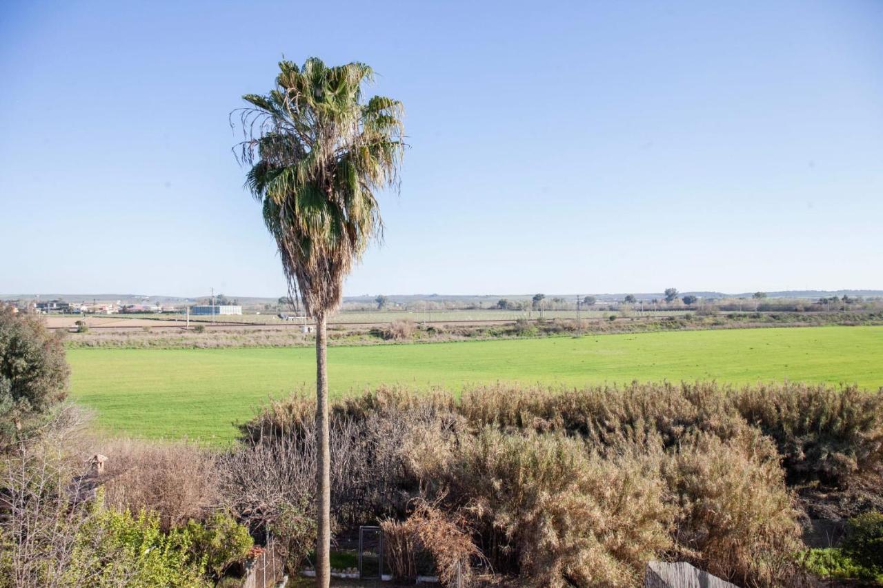 Almodóvar del Río Casa Rural La Palmera מראה חיצוני תמונה