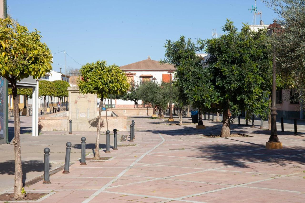 Almodóvar del Río Casa Rural La Palmera מראה חיצוני תמונה